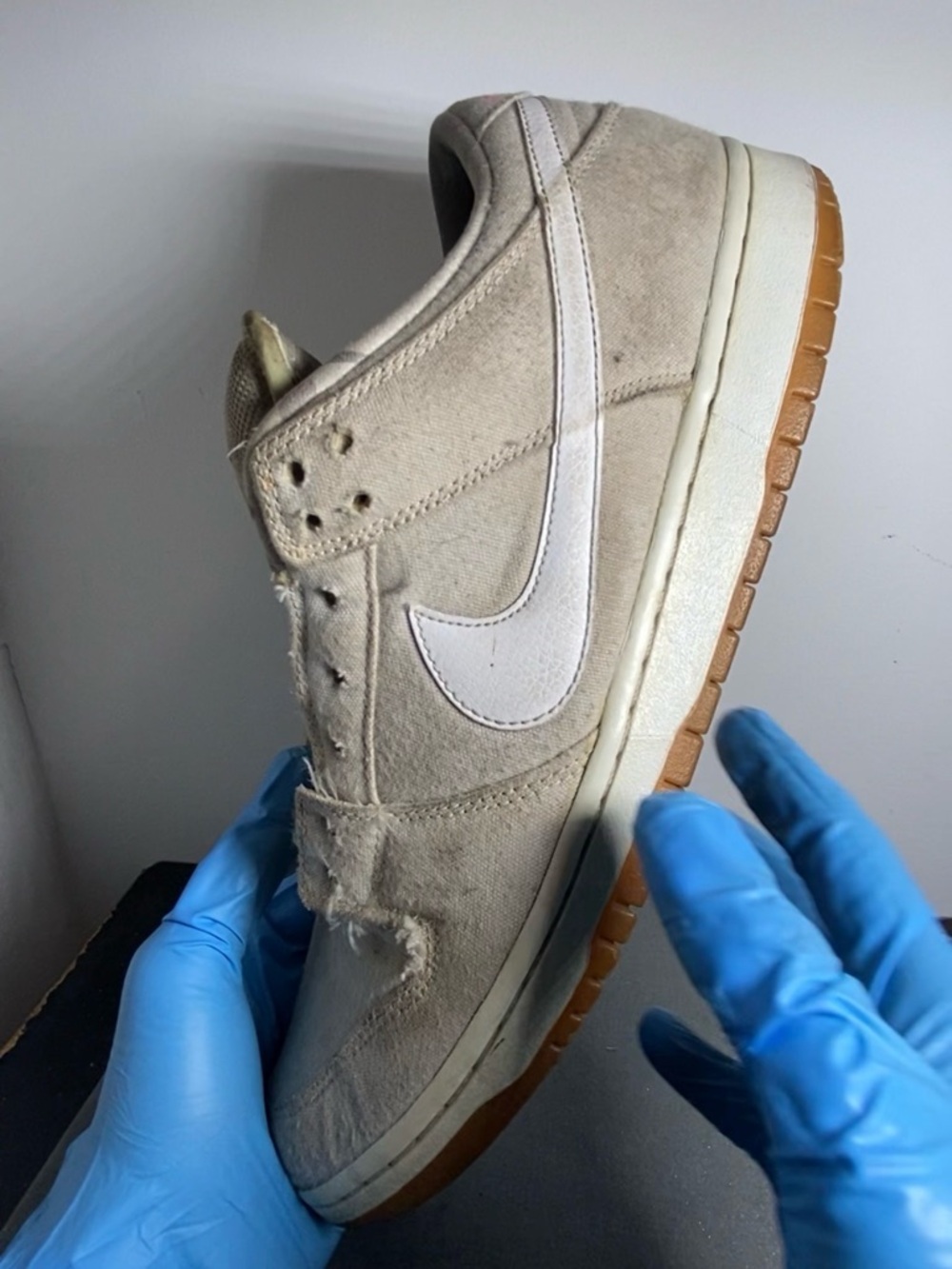 Nike dunk